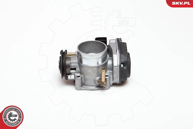 Throttle Body 12SKV010