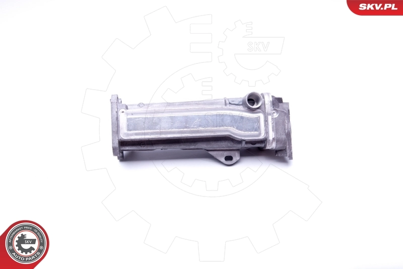 EGR Valve 14SKV191