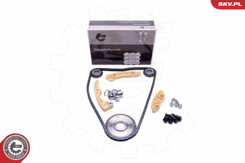 Timing Chain Kit 21SKV186
