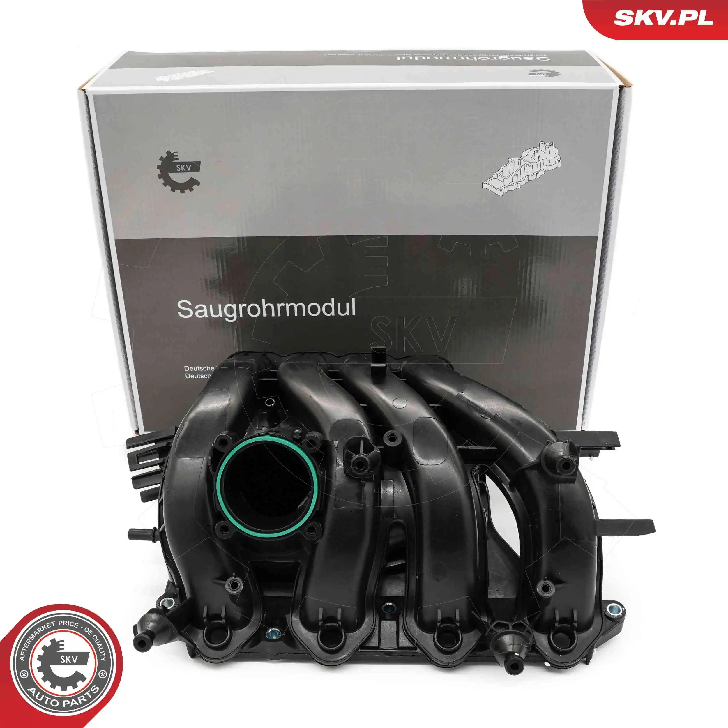 Intake Manifold Module 49SKV087