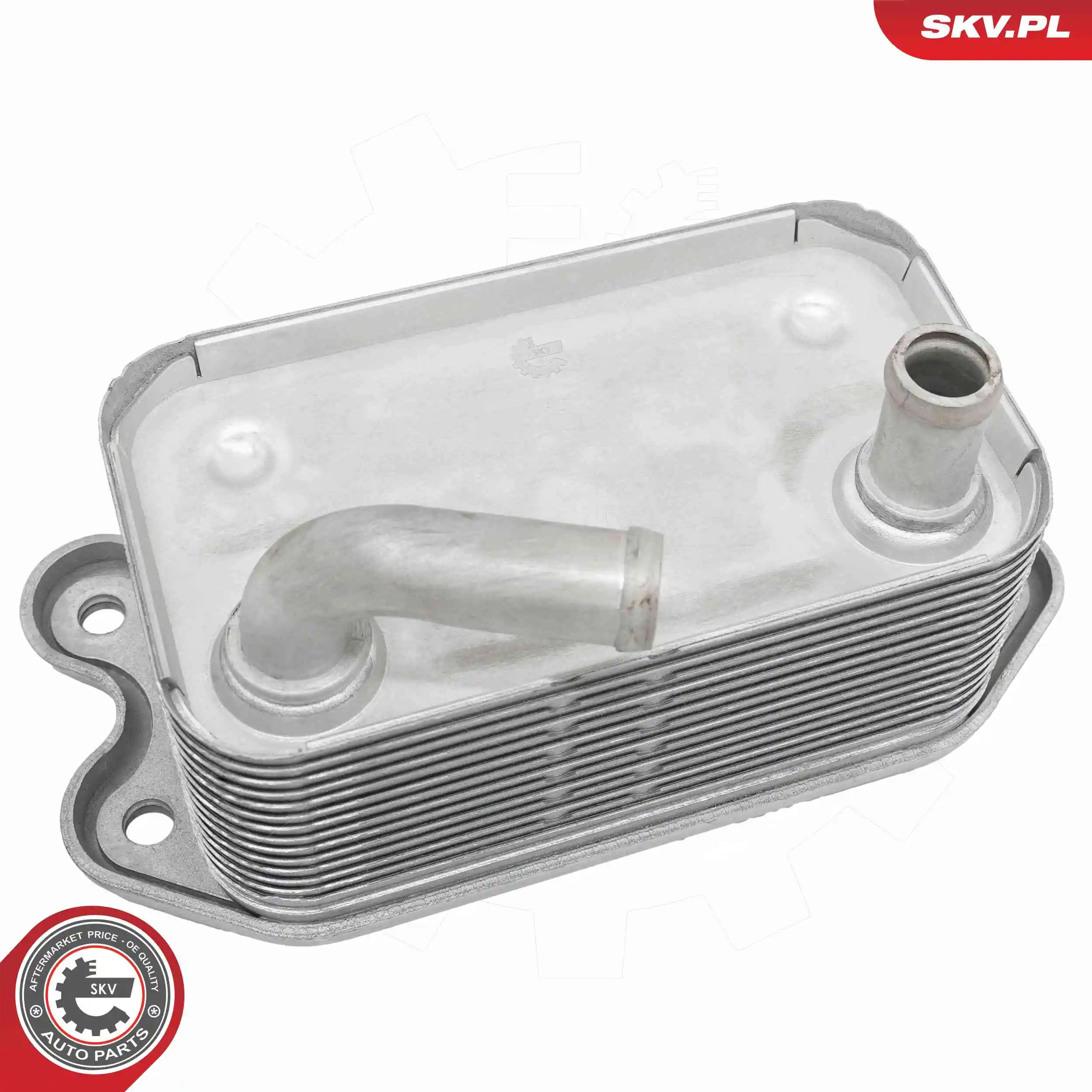 Oil Cooler, engine oil 31SKV302