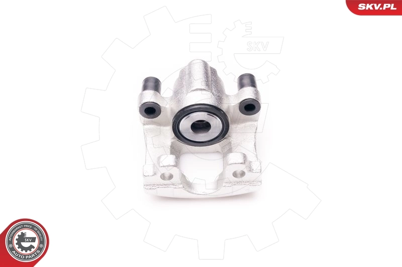 Brake Caliper 34SKV293