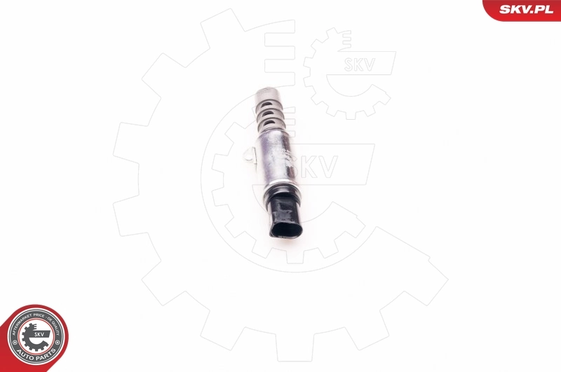 Control Valve, camshaft adjustment 39SKV010