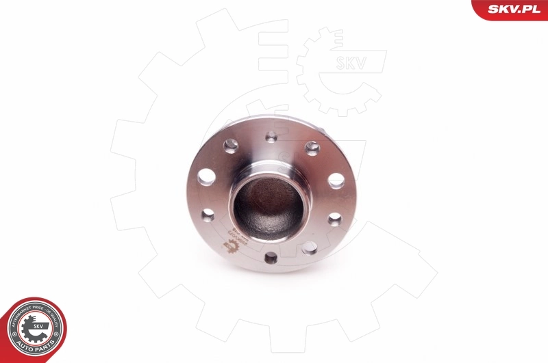 Wheel Bearing Kit 29SKV073