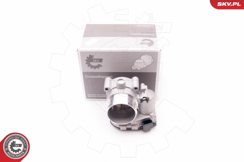 Throttle Body 12SKV065