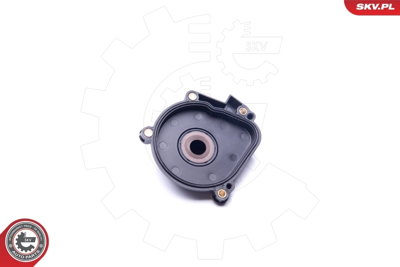 Oil Separator, crankcase ventilation 31SKV062