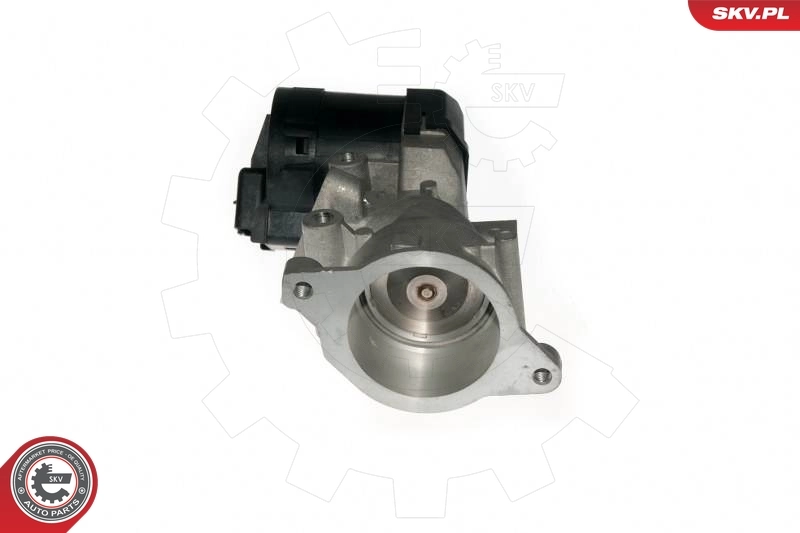 EGR Valve 14SKV057