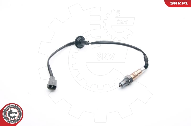 Oxygen Sensor 09SKV748