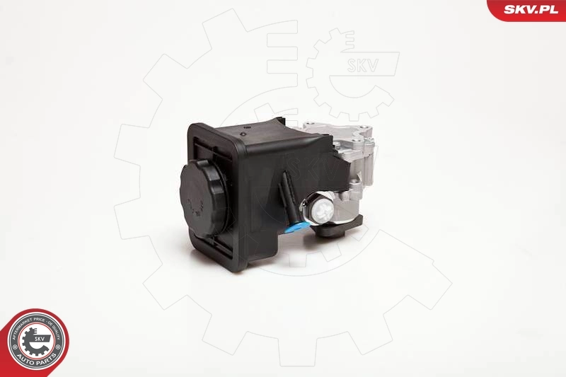 Hydraulic Pump, steering 10SKV012