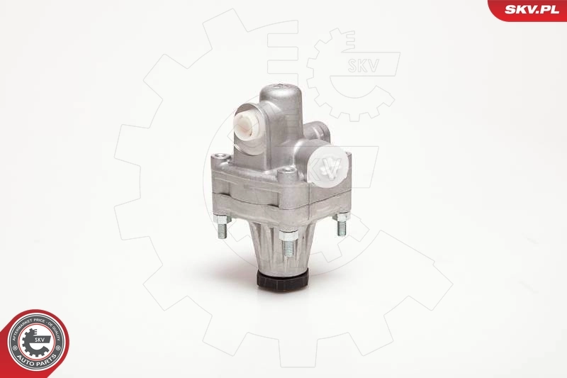 Hydraulic Pump, steering 10SKV087