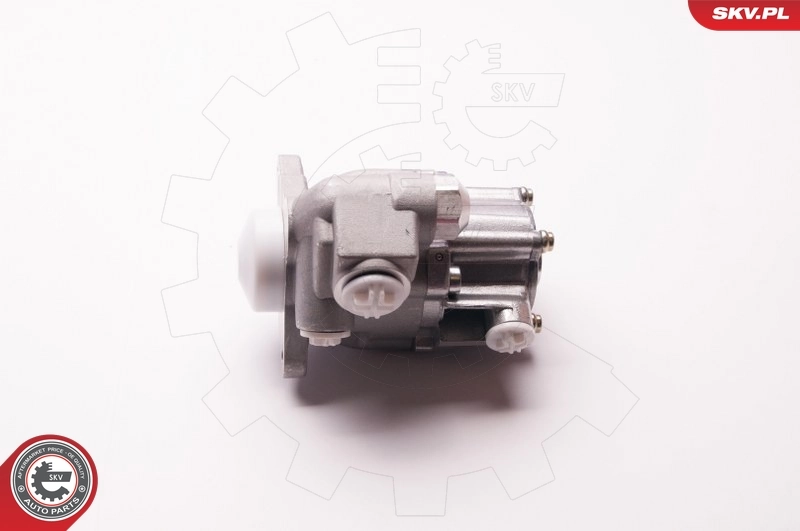 ESEN SKV 1SKV0004 Hydraulic Pump, steering
