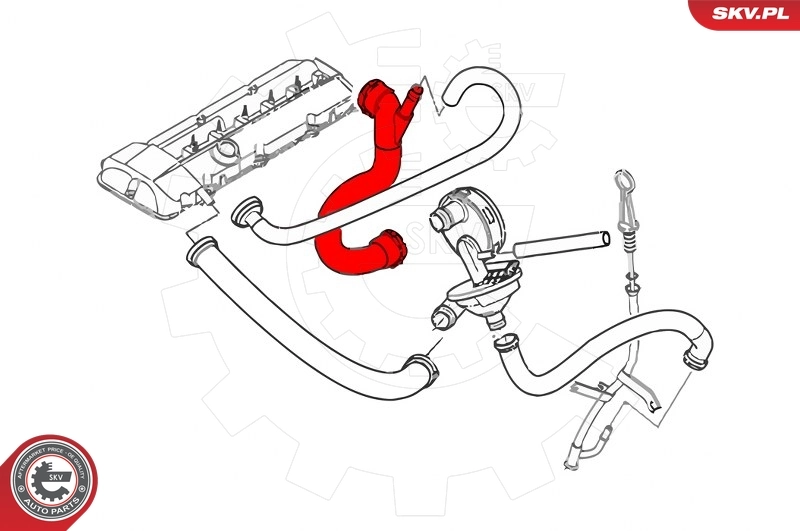 Charge Air Hose 43SKV333