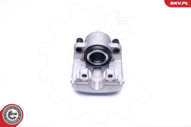 Brake Caliper 23SKV865
