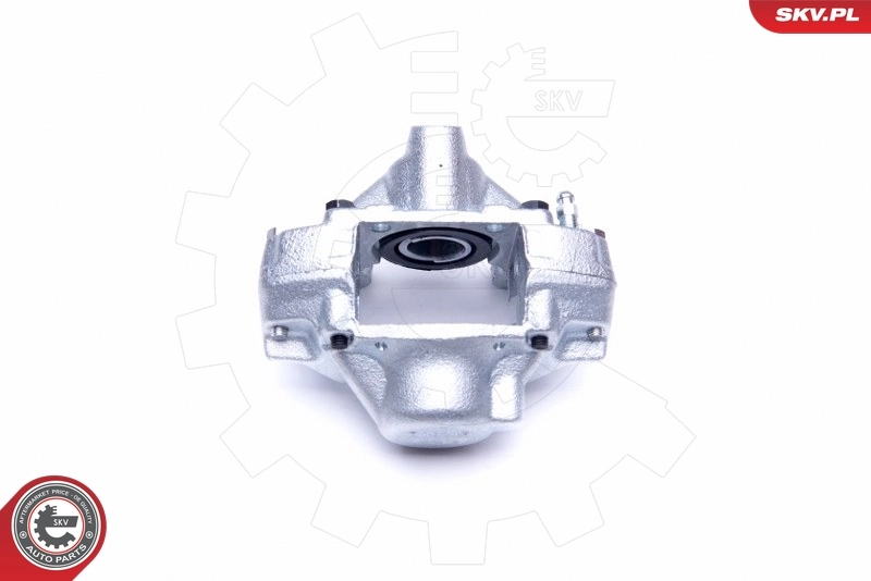ESEN SKV 45SKV484 Brake Caliper