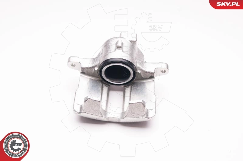 Brake Caliper 23SKV011