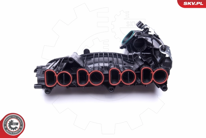 Intake Manifold Module 49SKV018