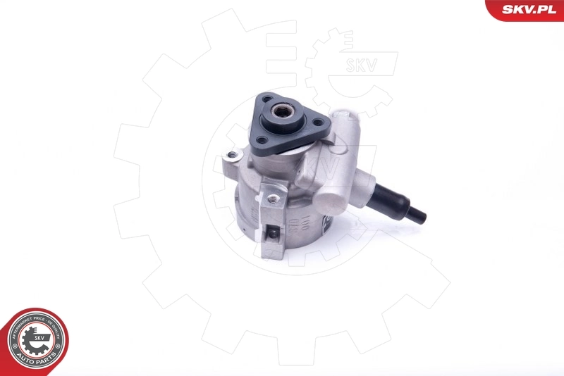 Hydraulic Pump, steering 10SKV258