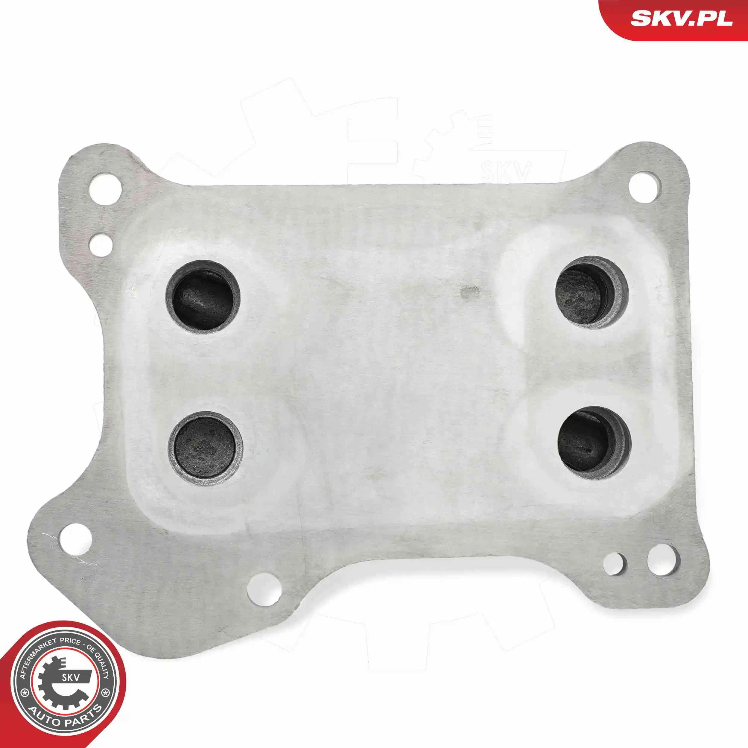 Oil Cooler, engine oil 31SKV309