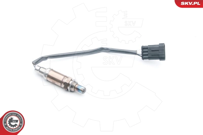 Oxygen Sensor 09SKV595
