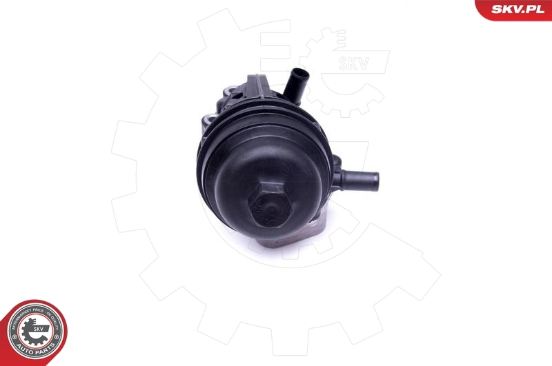 Oil Cooler, engine oil 31SKV170