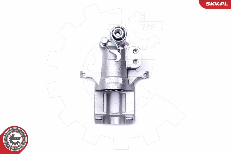 Brake Caliper 46SKV783