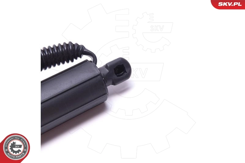 Electric Motor, tailgate 52SKV930