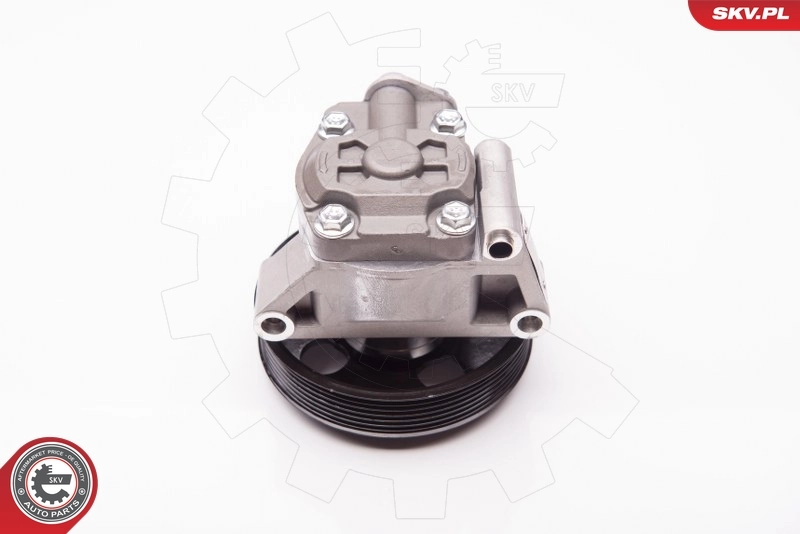 Hydraulic Pump, steering 10SKV238