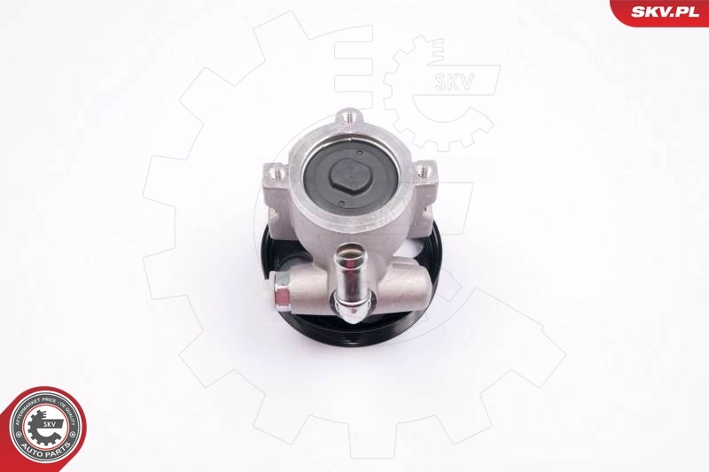 Hydraulic Pump, steering 10SKV174