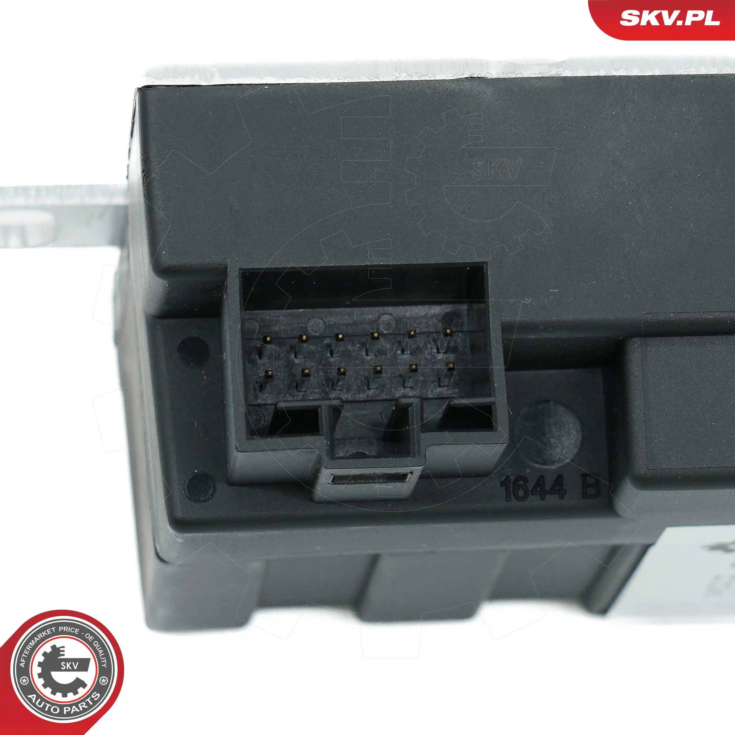 ESEN SKV 59SKV204 Control Unit, fuel pump