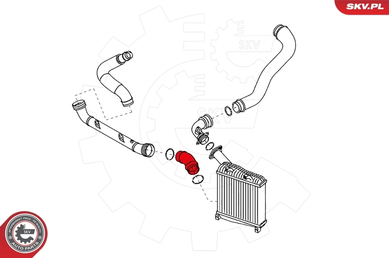 Charge Air Hose 24SKV099