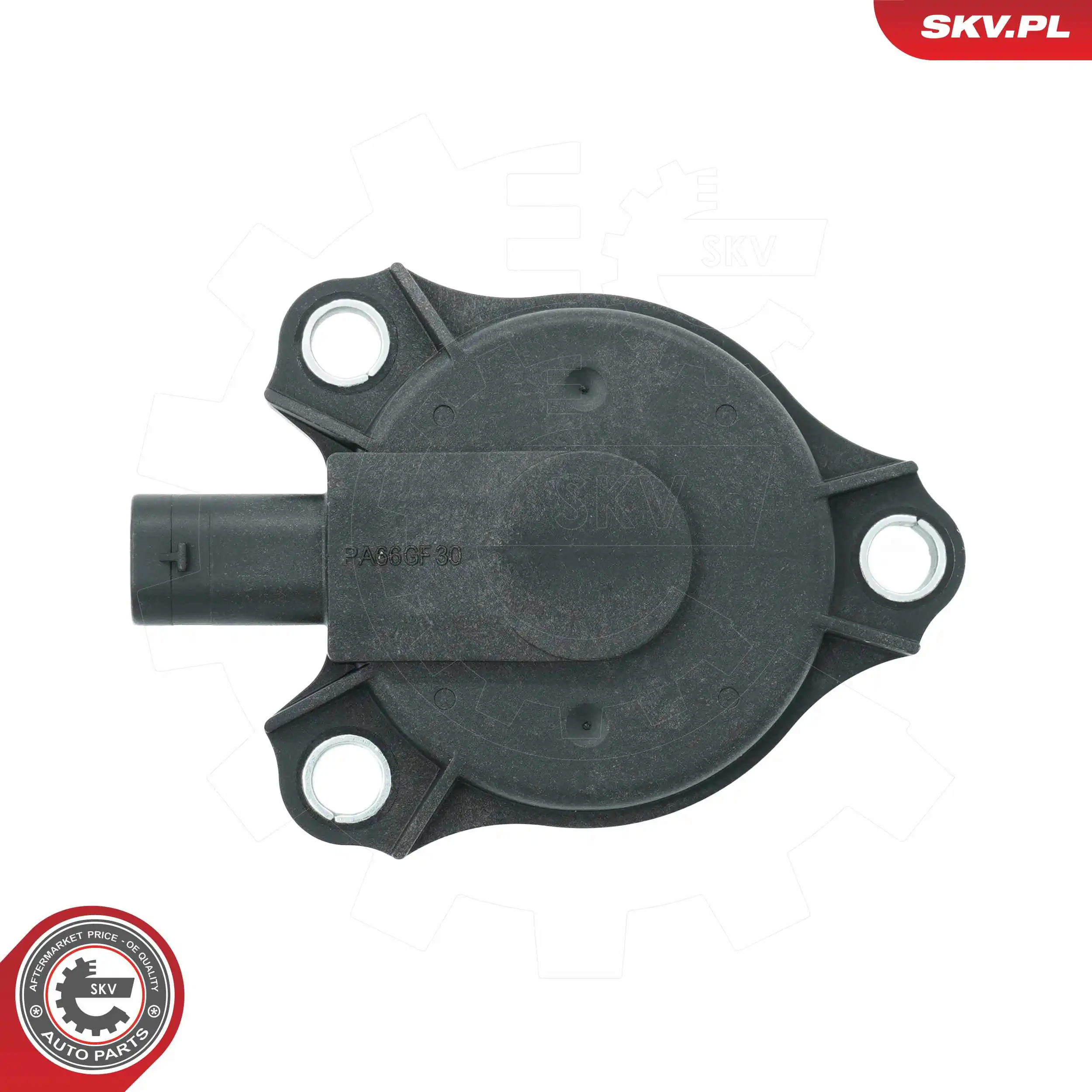 Central Magnet, camshaft adjustment 39SKV903