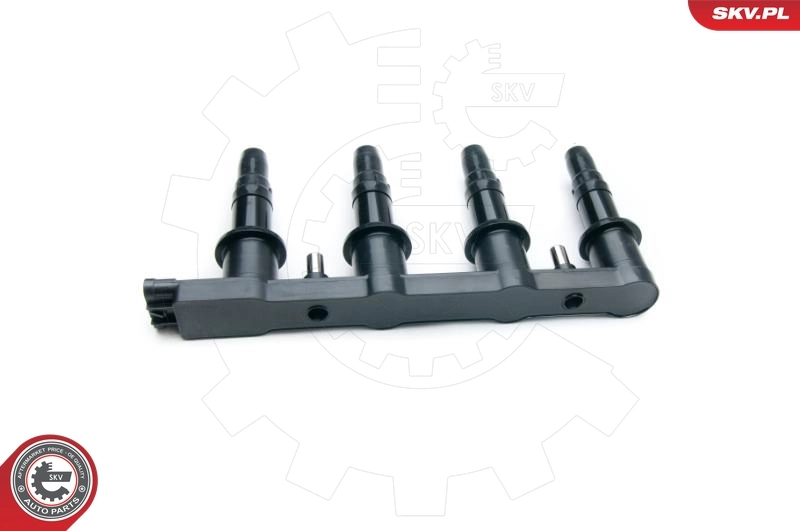 ESEN SKV 03SKV254 Ignition Coil
