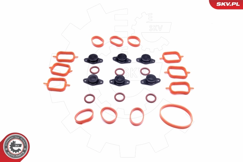ESEN SKV 49SKV567 Repair Kit, intake manifold module
