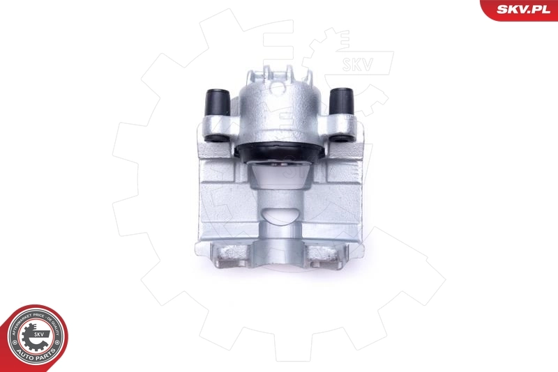 Brake Caliper 55SKV811