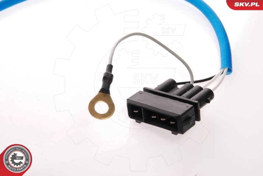 Oxygen Sensor 09SKV065
