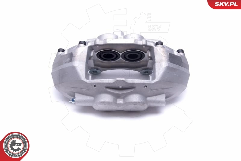 Brake Caliper 55SKV901