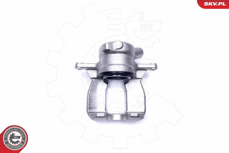 Brake Caliper 44SKV742