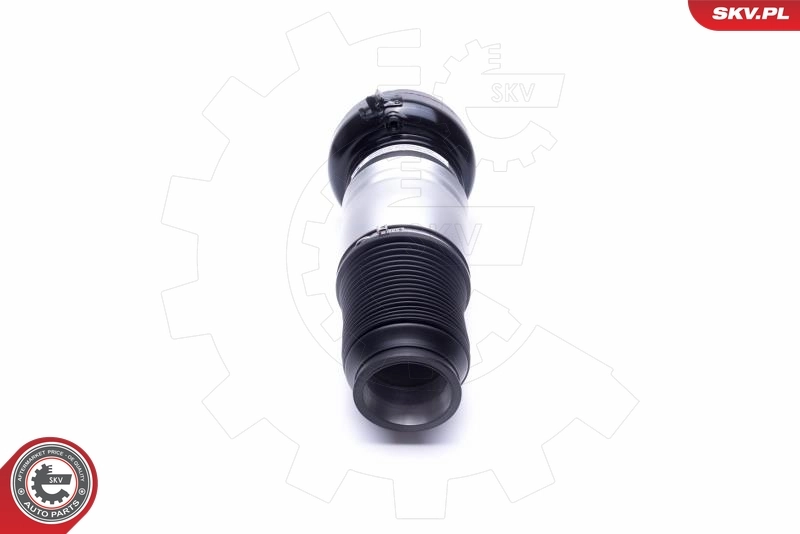 Air Suspension Strut 58SKV070