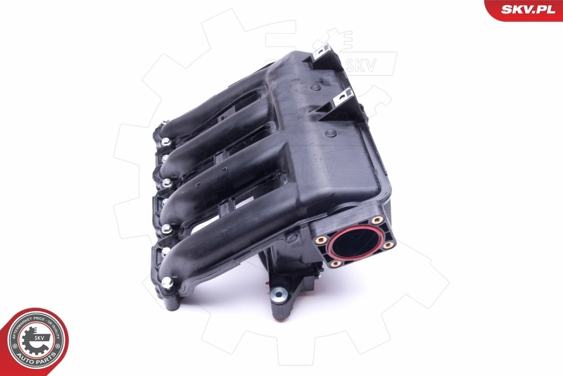ESEN SKV 49SKV017 Intake Manifold Module