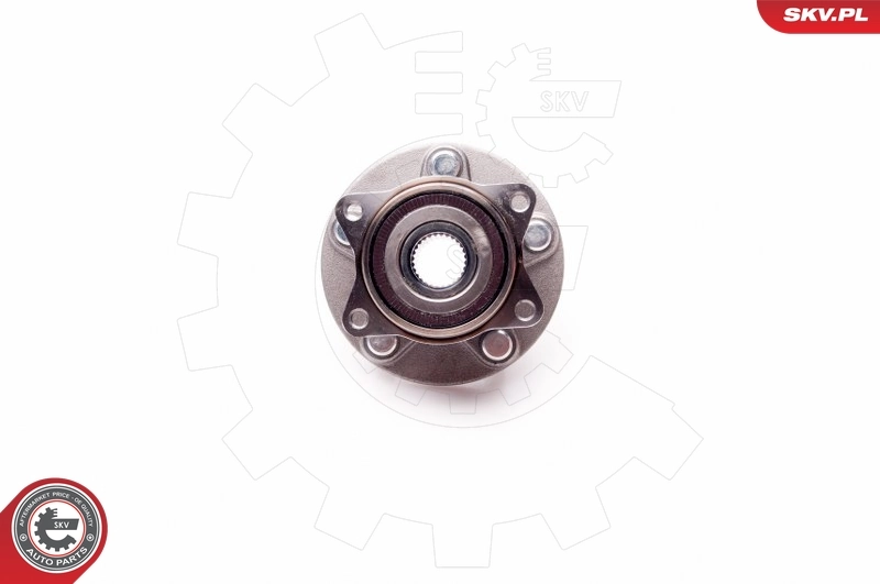 ESEN SKV 29SKV037 Wheel Bearing Kit