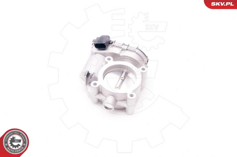 Throttle Body 12SKV067