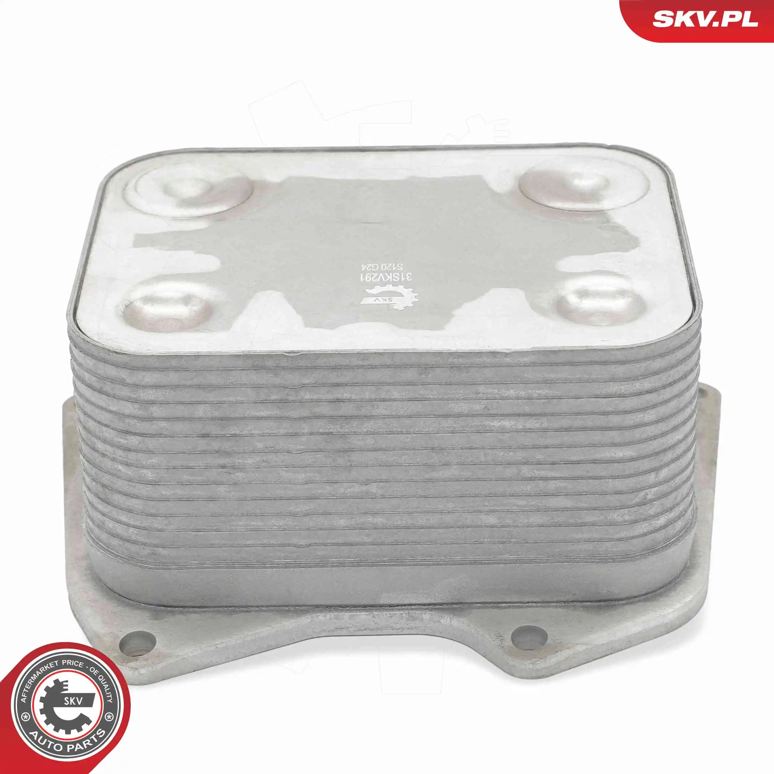Oil Cooler, engine oil 31SKV291