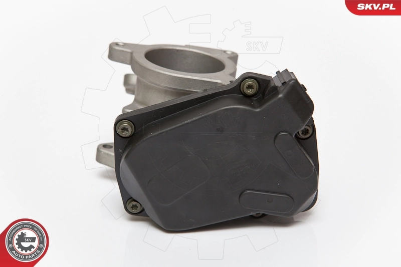 EGR Valve 14SKV083