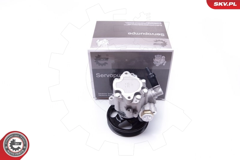 Hydraulic Pump, steering 10SKV077