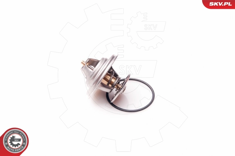 Thermostat, coolant 20SKV048