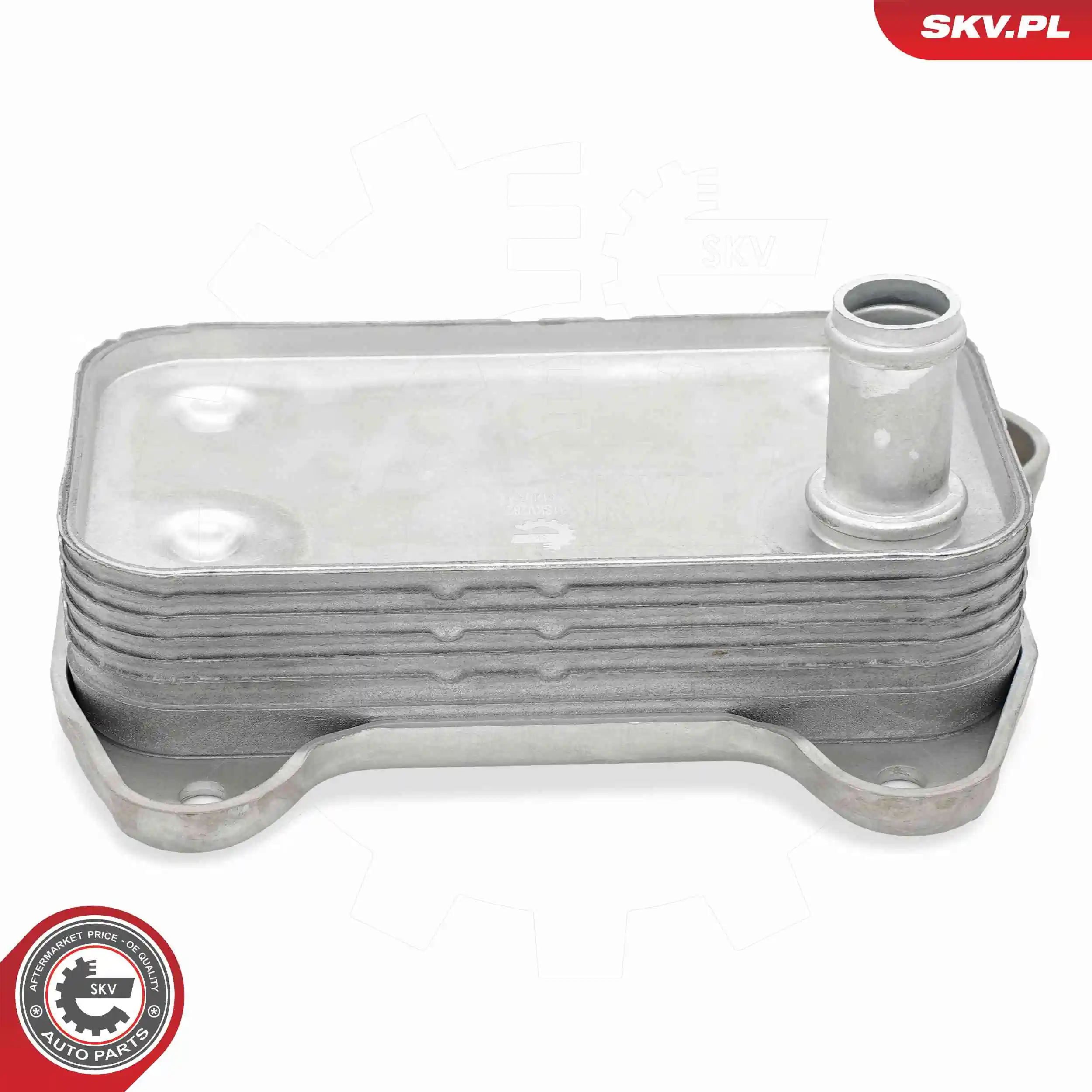 Oil Cooler, engine oil 31SKV282