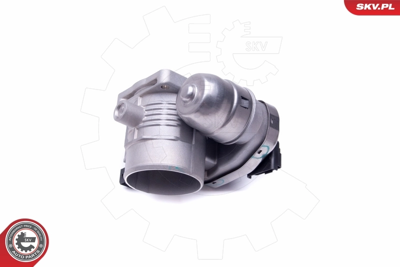 Throttle Body 12SKV079