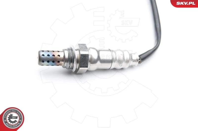 Oxygen Sensor 09SKV733