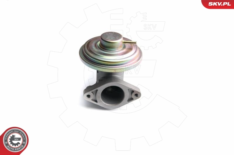 EGR Valve 14SKV098
