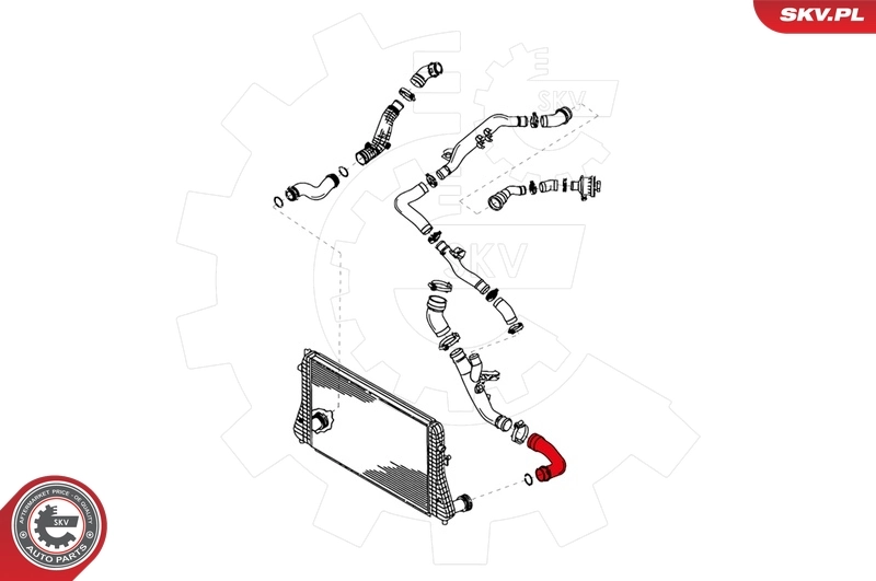 Charge Air Hose 24SKV053